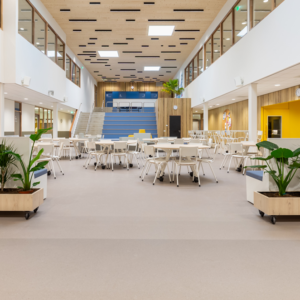 Amersfoort school 2